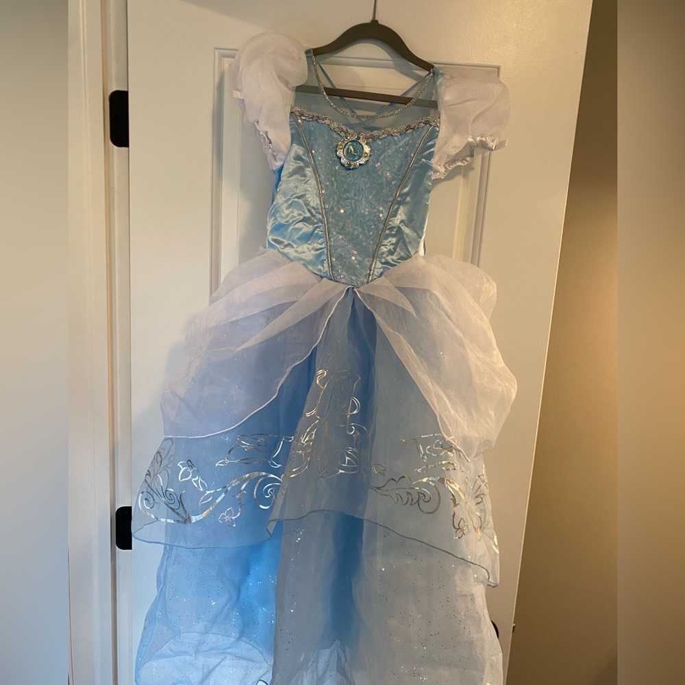 Disney Cinderella Costume Dress